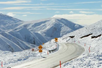 NZ Scenic Road Trips