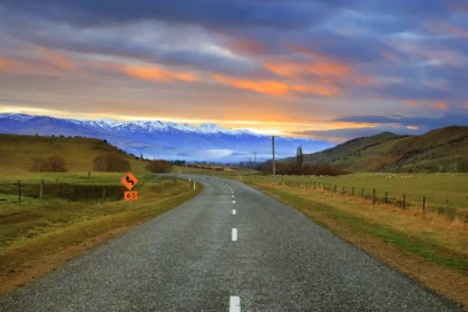 climate policies impact nz car industry