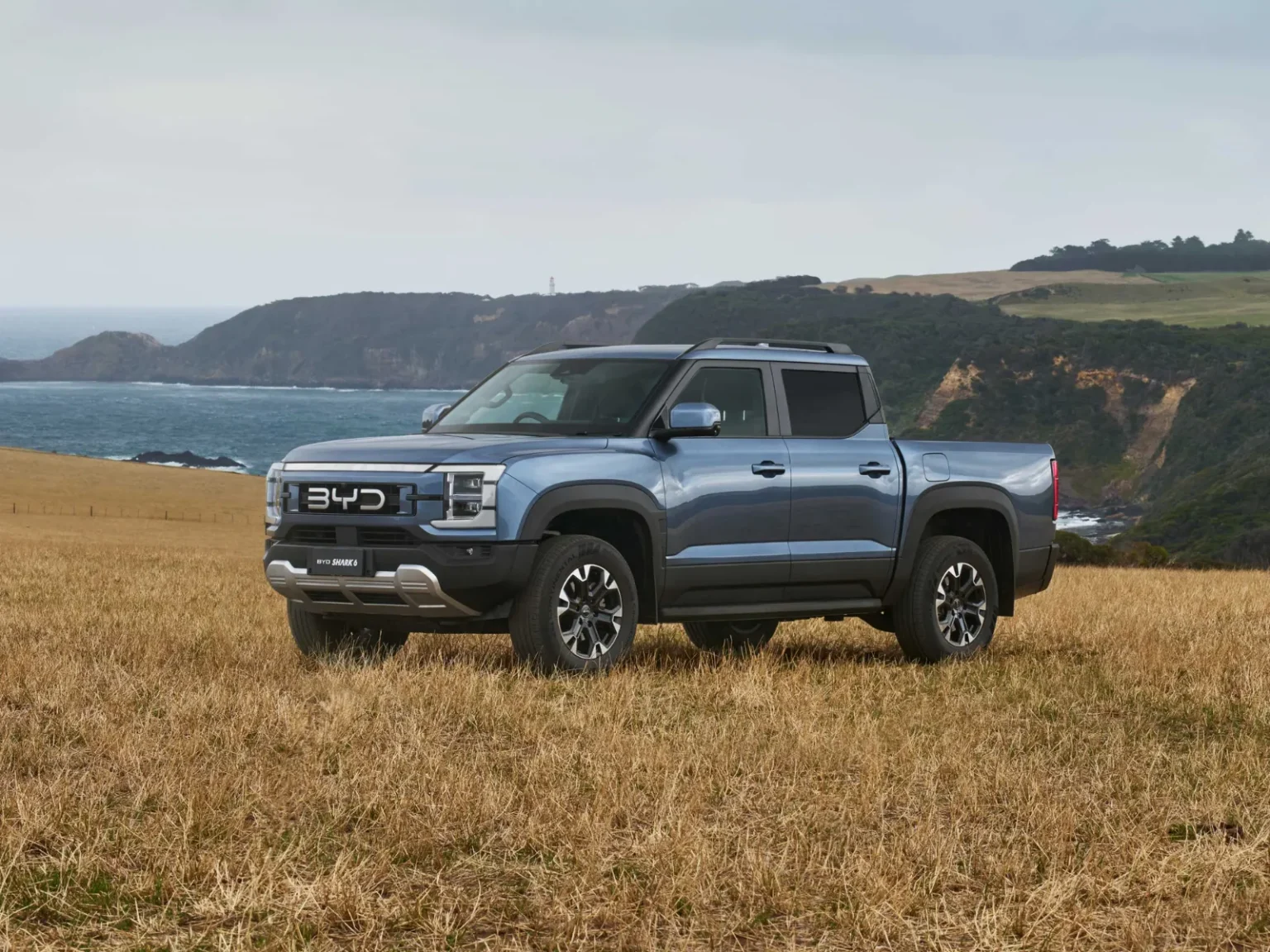 Shark 6 Performance Image